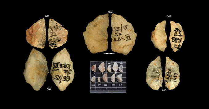 세계에서 가장 오래된 독화살 발견