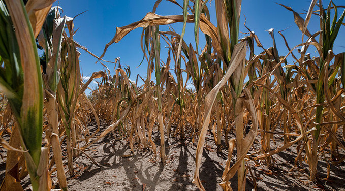 다양한 기후 모델 분석 결과, 최악의 시나리오 발생 가능성 드러나