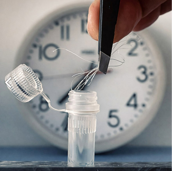 모발 샘플로 생체 리듬 알아낸다.