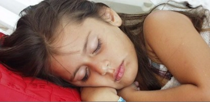 잠자는 동안 학습이 가능할까?