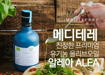 메디테레